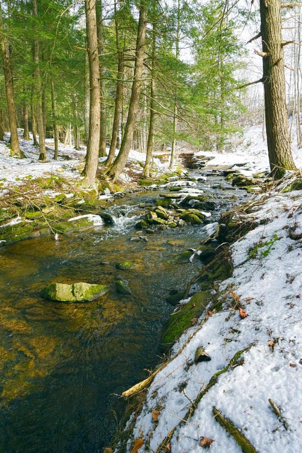 Secluded Streamside Home With Hot Tub Margaretville Exterior photo