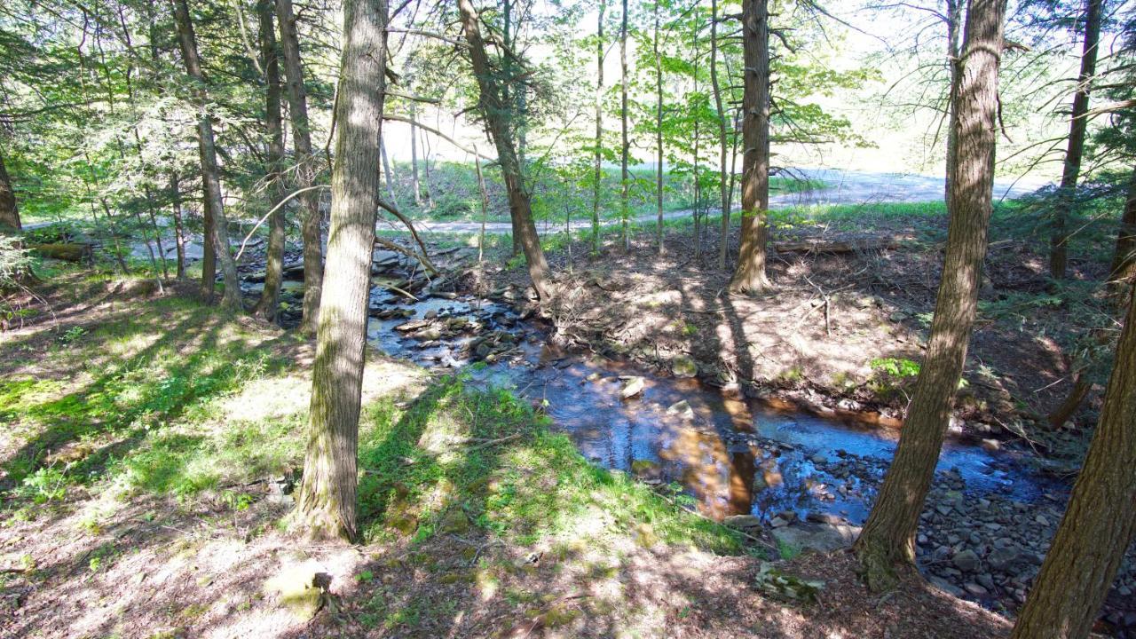 Secluded Streamside Home With Hot Tub Margaretville Exterior photo