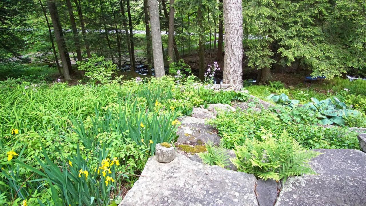 Secluded Streamside Home With Hot Tub Margaretville Exterior photo